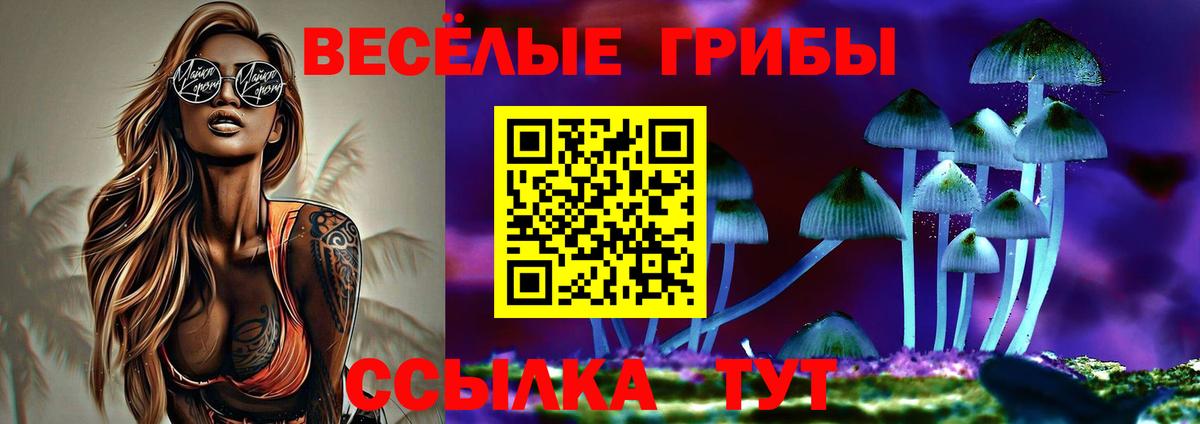 Галлюциногенные грибы Magic Shrooms  Галлюциногенные грибы мухоморы  Семилуки  Вход с VPN 